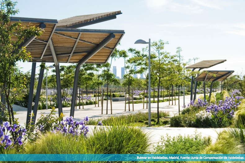 Imagen de la buena práctica